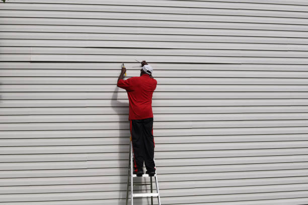 Best Vinyl Siding Installation  in Jesup, GA